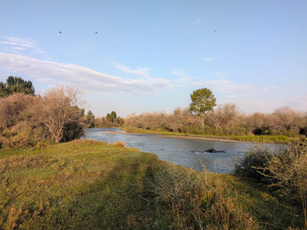 The Chuy river winding between grassy banks and bushes under a blue sky